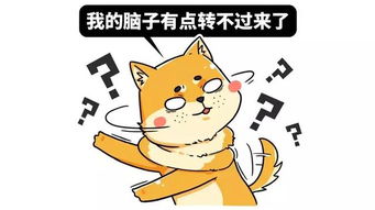 屋内有臭味怎么去除
