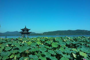 采桑子欧阳修(轻舟短棹西湖好)翻译