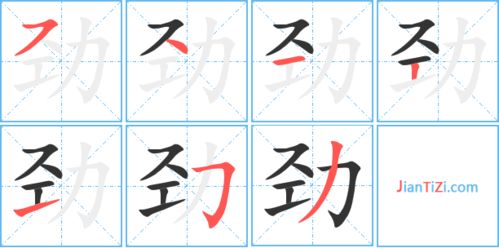 劲的组词有哪些?