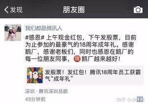 窥的意思是什么