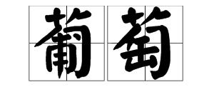 葡萄的正确读音