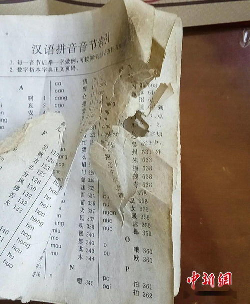 嚼烂的拼音是什么样的