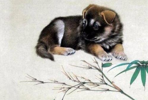 蛮不讲理打一数字，蛮不讲理是成语吗