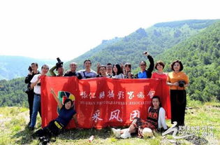 风风火火是成语吗，风风火火闯九州