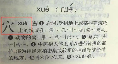穴 读音是二声还是四声?