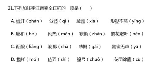 处理的拼音，处境的拼音怎么读音写