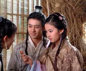 段誉是谁的儿子原著，段誉是谁的女儿
