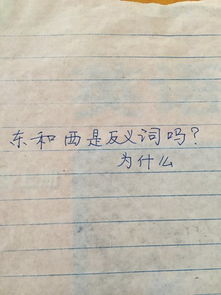东的反义词是?