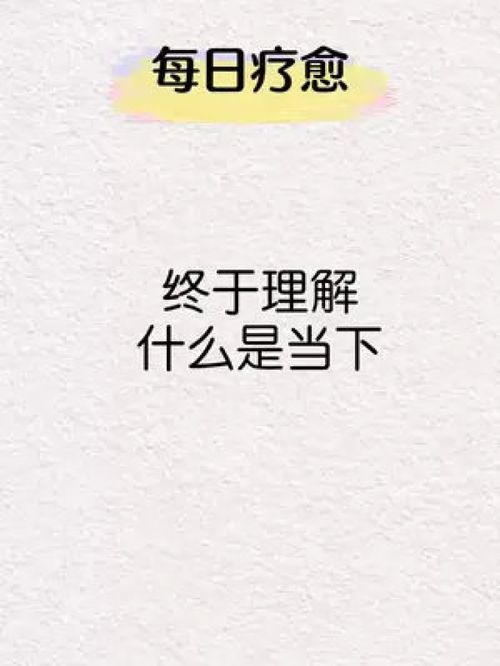 理解是什么意思?