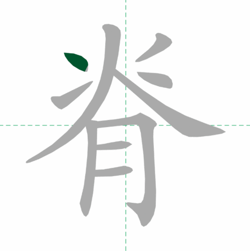 放字的笔画顺序怎么写