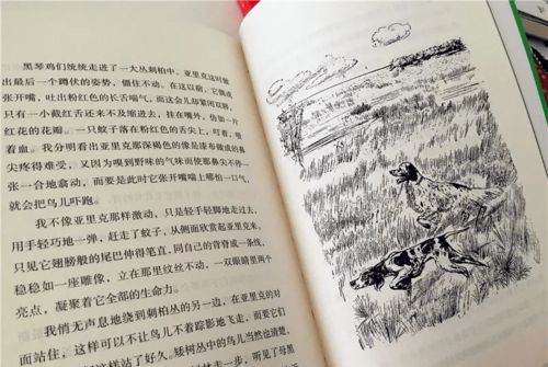 一个斩一个金读什么