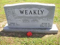 weak怎么读