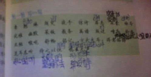 遂的拼音怎么读?