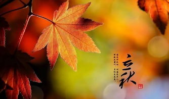 描写立秋的诗句，立秋诗句意思
