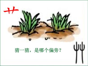 都是草字头的词语，草字头的词语词组