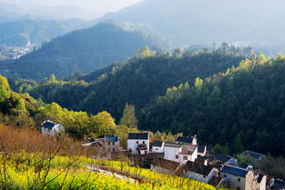 什么的山林填合适词语，什么的山村里闪烁着什么的灯光