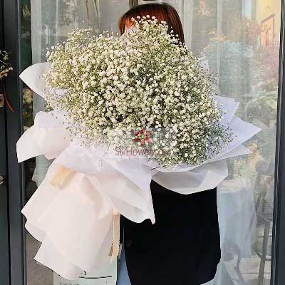 男生送女生满天星代表什么意思，粉色满天星代表什么意思