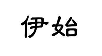 新年伊始是什么意思