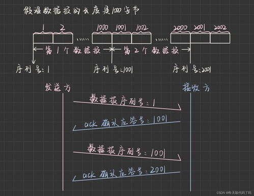序号是什么意思