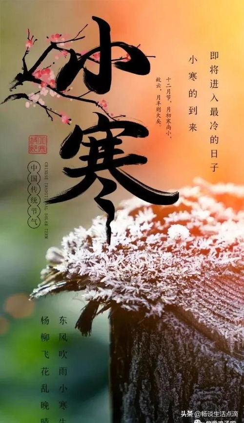 晴天的晴的笔顺怎么写