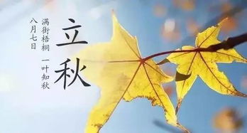 关于立秋节气的诗句古诗