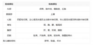 畤怎么读什么意思，畸笏叟怎么读