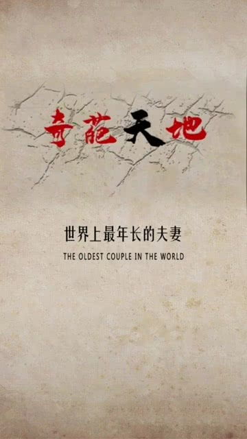 年长的员工有经验,年轻的员工有闯劲，年长的夫妻