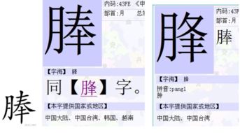 奉怎么读什么意思，秦怎么读组词
