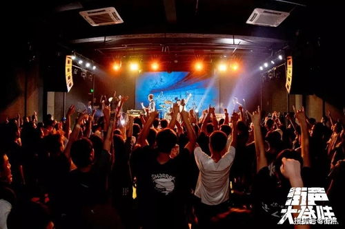 街声怎么下载歌曲