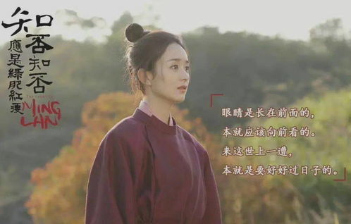 蓝颜知己的意思，红颜知己的意思情话