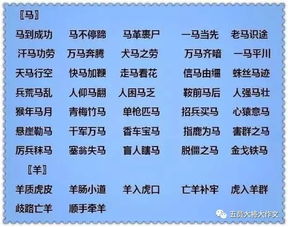 含有“类”字的成语有哪些?