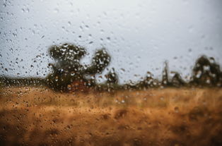 大雨如注的意思是雨很，大雨如注意思解释