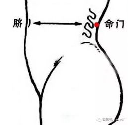 什么是命门?