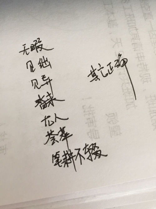 不屑置辩是什么短语类型，不屑置辩短语结构类型