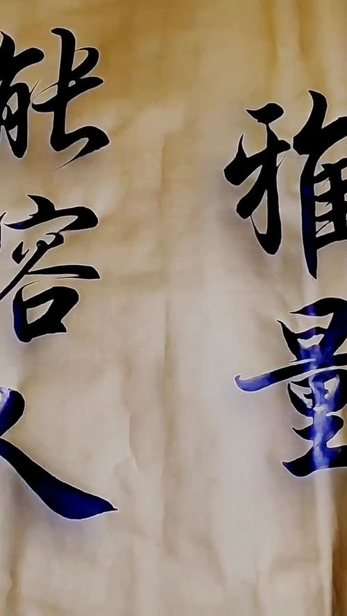 雅量超人，雅量科技