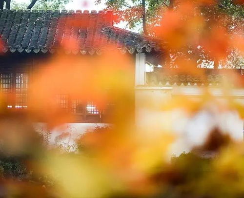 良辰美景的意思