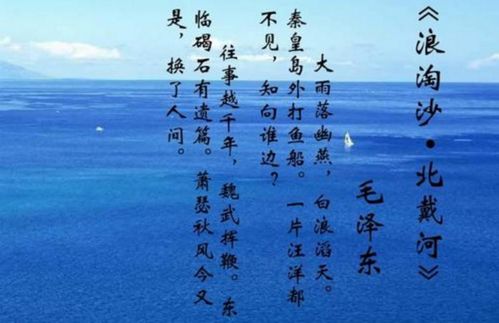魏武挥鞭,东临碣石有遗篇"是谁的诗句