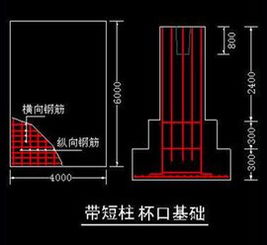 短柱和长柱的区别，短柱铁线莲