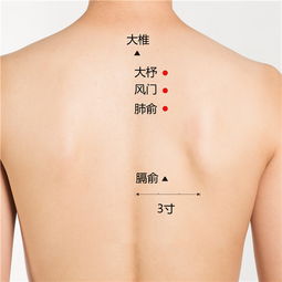 艾艾精工股票，艾艾新能源