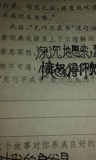 无巧不成书的近义词，无巧不成书这句话是什么意思?