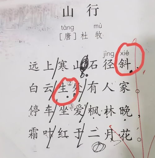 搅和的读音是什么