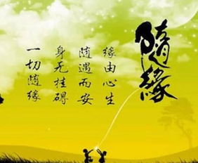 女人说随心是什么意思，天赋是什么意思
