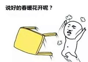 人情冷暖、世态炎凉 是什么意思