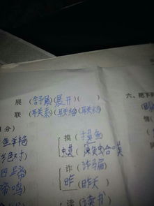 会字有哪些词语