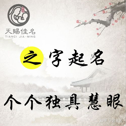 慧眼独具的意思解释