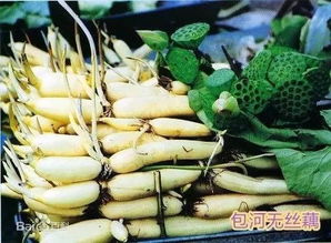 藕(nou二声)荷儿这件您看怎么样?“藕荷儿”是指?