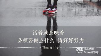 故里聚诸君是什么意思?