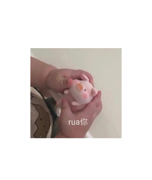 挼这个字的拼音