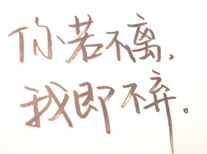 不离不弃的近义词和反义词，不离不弃近义成语