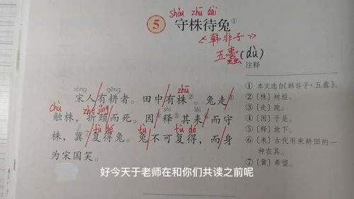 守株待兔课文原文电子版，小学守株待兔课文原文
